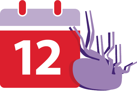 12周驱杀跳蚤
