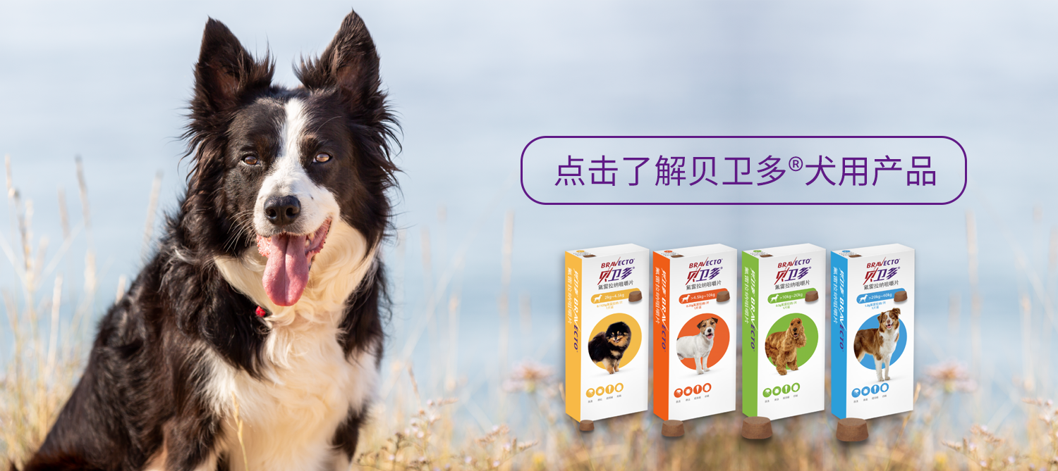 贝卫多犬用产品